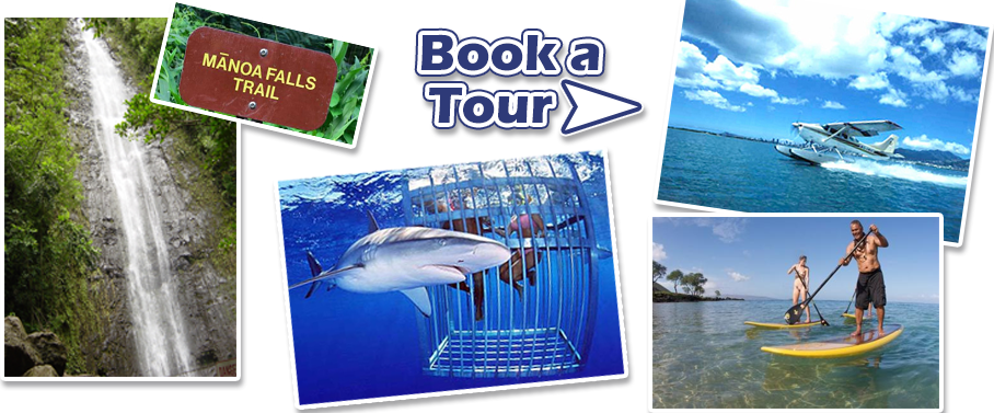 BookTours